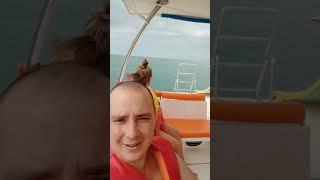 Покатушки на яхте к дельфинам