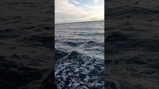 Ялта.  28.12.2019
