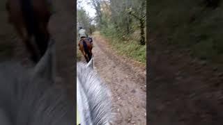 Еду верхом на лошади!