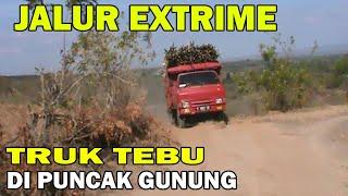 EXTRIME !! Truk Tebu Naik Dan Turun Di Gunung Kali Bagos, Skil Sopir Handal, Joki Handal,
