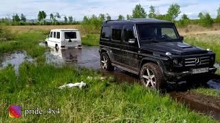 Гелики резвятся в болотинке! Mercedes Benz Gelandewagen. OffRoad