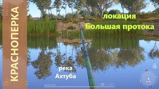 Русская рыбалка 4 - река Ахтуба - Красноперка на популярной точке