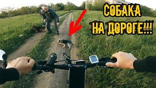 БОДРАЯ И ОПАСНАЯ ПОКАТУШКА на ВЕЛОСИПЕДЕ ● Собака под колеса=(