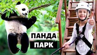 Панда парк | Куда сходить с ребенком в Москве
