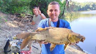 РЫБАЛКА НА ДНЕСТРЕ. КАРП, КАРАСЬ, ЛЕЩ. НА ЧТО ЛОВИТЬ? FISHING FOR CARP 2020.