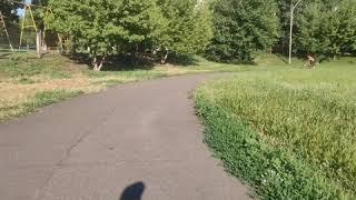 Катаюсь на велосипеде