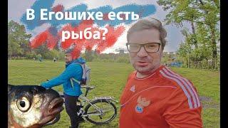 Покатушки на велосипеде через лес к истоку Егошихи в поисках рыбы // ЕГОШИХА II