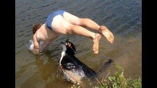 СМЕШНЫЕ ПРЫЖКИ В ВОДУ  = приколы =