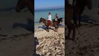 Конная прогулка по пляжу на Кубе  Horse riding  on a Cuban beach