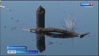В Астрахани с рабочим визитом находится глава Росприроднадзора