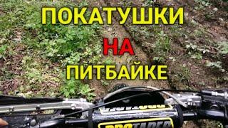 ✅ПОКАТУШКИ НА ПИТБАЙКЕ-ЛЕСНЫЕ ПАКАТУШКИ