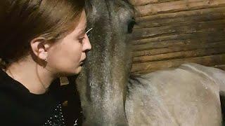 КОННЫЙ СТРИМ