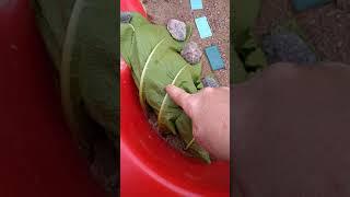 ОБЗОР БАССЕЙНА ИЗ ПЕСКА