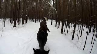 Зимняя прогулка верхом на лошадях.
