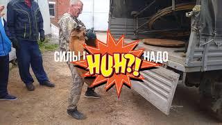 Силовой экстрим. Стронгмэны на работе. Силы нет - ума не надо