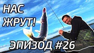 Есть ли рыба на оффроуде? А медведи?