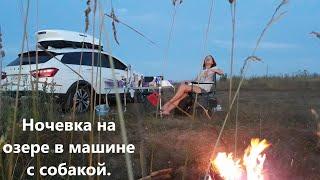 Ночевка на озере в машине с собакой.