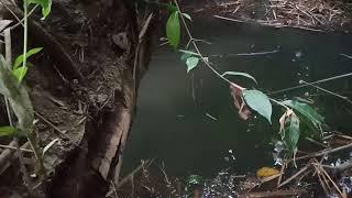 Najur lagi di spot lama,. !! hasilnya tetap memuaskan mas bro... #2