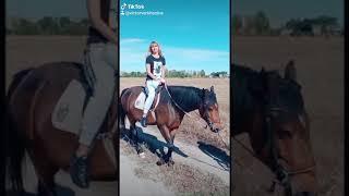 Прогулка на лошади)