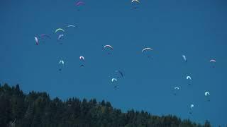 Paragliders