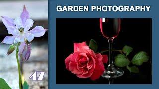 47.Garden Photography.  Ipad как источник света