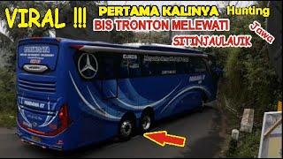 VIRAL PERTAMA KALINYA HUNTING BUS TRONTON MELEWATI SITINJAULAUIK Jawa