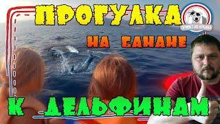 Катание на банане и дельфины в море | Судак Крым