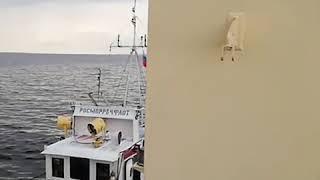 Ярославская область: в море тонет баржа