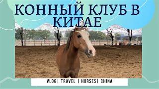 ОБЗОР КОННОГО КЛУБА В г.ГУЙЛИНЬ, КИТАЙ