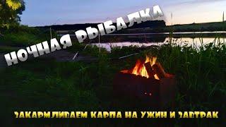 СУТОЧНАЯ РЫБАЛКА НА ПРУДУ "ГОЛОВИЩИ"КАРПОВАЯ РЫБАЛКА. Вот такой пруд у Звягина.(Воронежская область)
