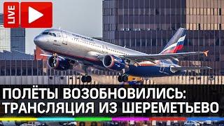 Возобновление полётов в России. Прямая трансляция из аэропорта Шереметьево