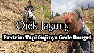 Ojek Jagung di Lokasi yang sangat Ekstrim