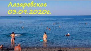 ЛАЗАРЕВСКОЕ 2020