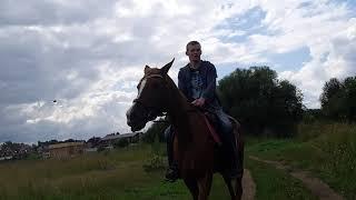 Я и лошадь 