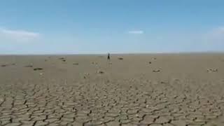 Краснодарское водохранилище, август 2020