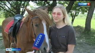 Мустанг предлагает биробиджанцам прогулки верхом