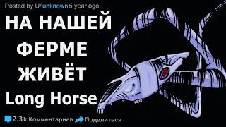 ЧТО-ТО СТРАННОЕ ЖИВЁТ НА НАШЕЙ ФЕРМЕ И ВОЗМОЖНО ЭТО ЛОНГ ХОРС - long horse