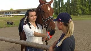 кінні прогулянки ДИТЯЧЕ ТБ