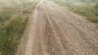 Покатушки на велосипедах по деревне