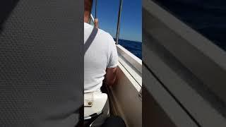Одесса, экстремальная прогулка на скоростном катере.