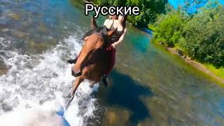 Чеченцы Русские Казахи