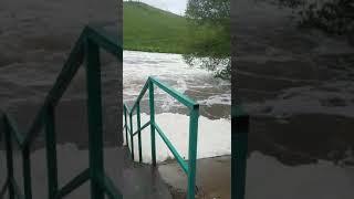 Подольск, р. Пахра (плотина). Июнь 2020