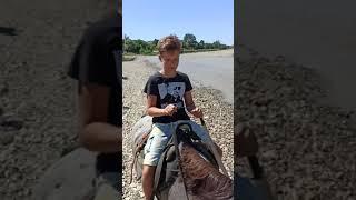 Лермонтово. Конная прогулка 3