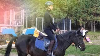 Конюшня!!!лошади и тренировка;)
