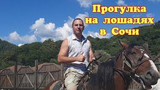 Конная прогулка в Сочи