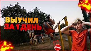 Выучил топовый элемент за день!!!!(Элемент за день)