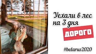 Лучше, чем в Европе? Дорогой отдых в Беларуси. Счастливый корги