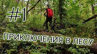 ВЕЛО-БЛОГ#1 (ПРИКЛЮЧЕНИЯ В ЛЕСУ)