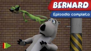 Bernard Bear - 19 - Taekwondo
