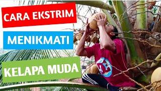 CARA EKSTRIM MENIKMATI KELAPA MUDA